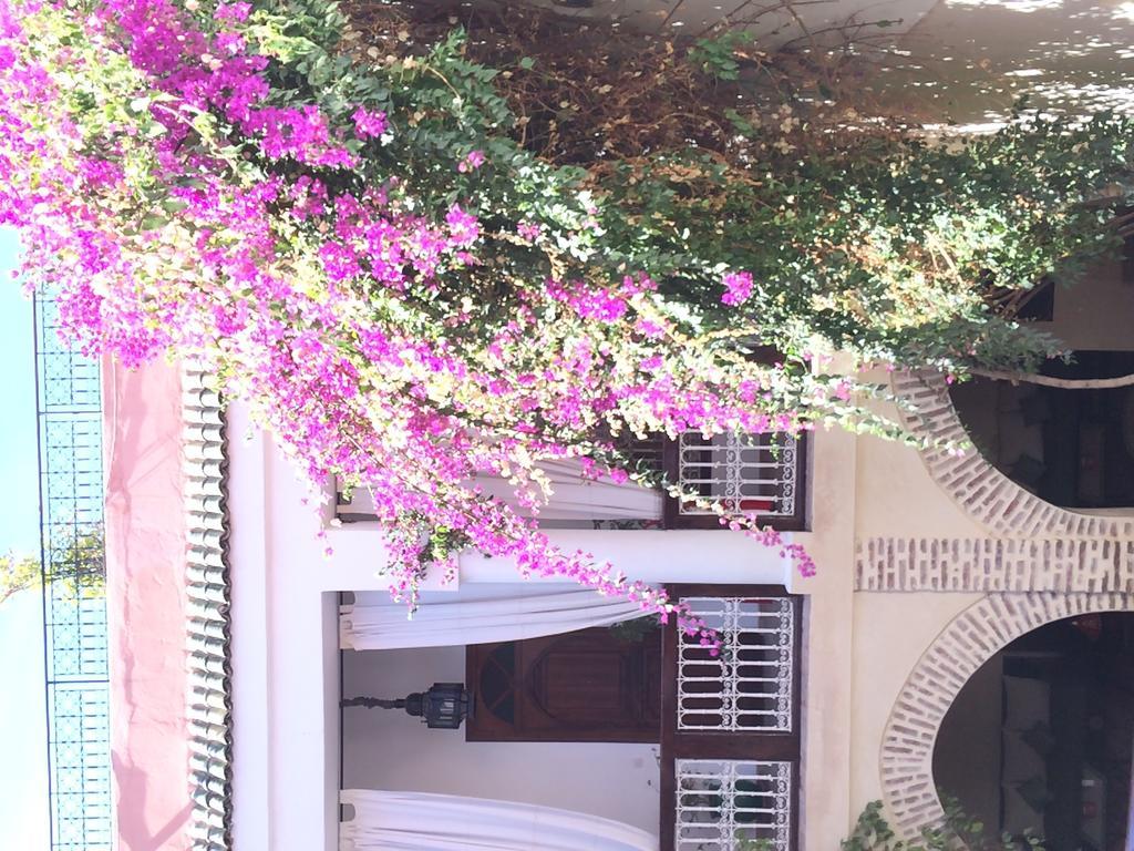 Riad Dar Palmyra Marrakesh Exteriör bild