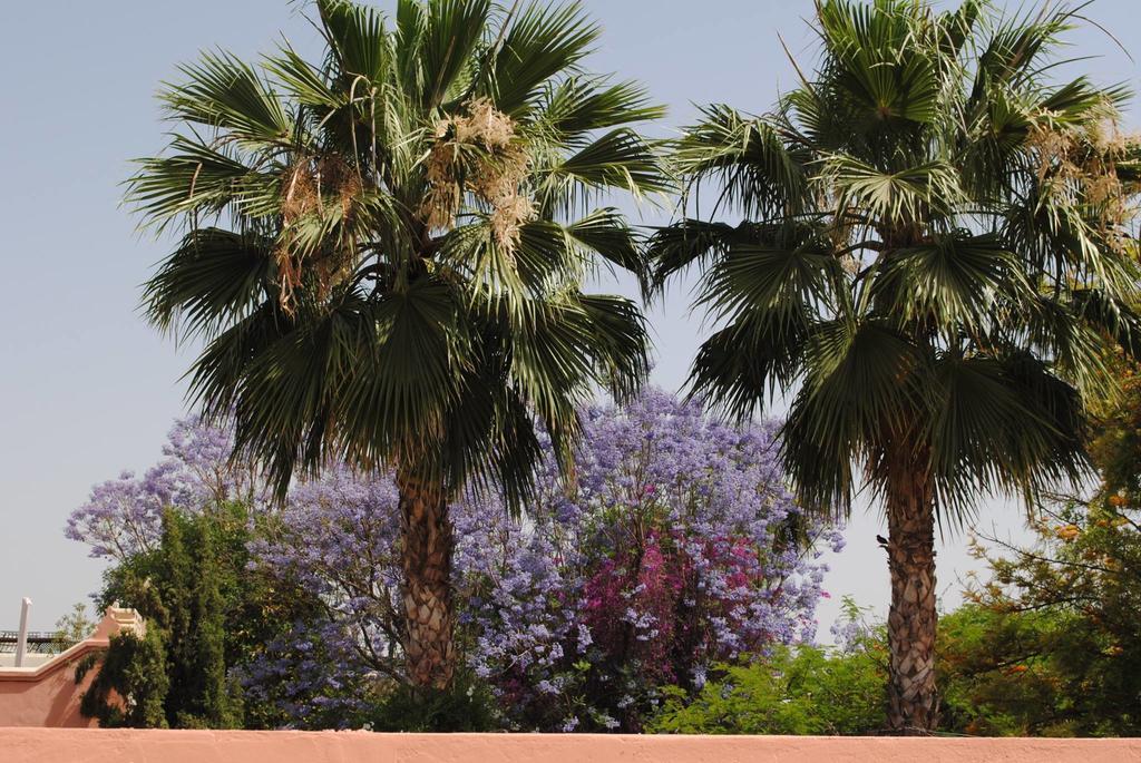 Riad Dar Palmyra Marrakesh Exteriör bild